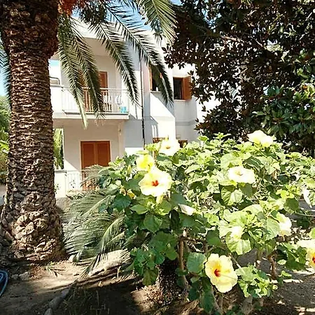 Hotel Limoneto 3*
