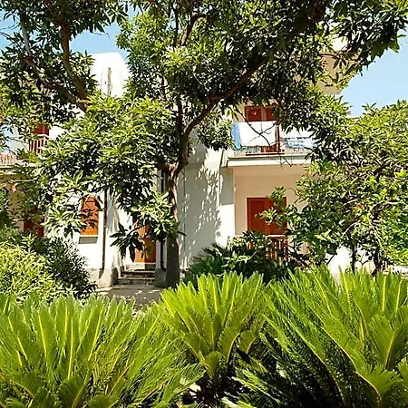 Hotel Limoneto 3*
